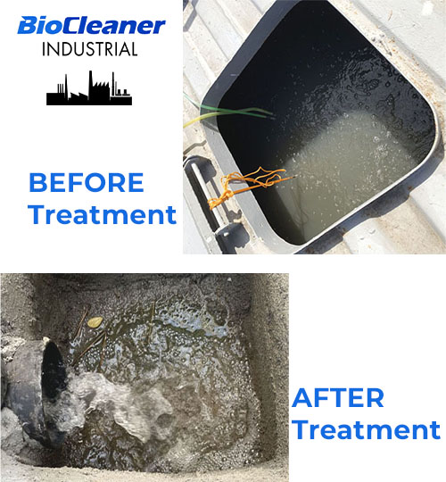 rpmtec-biocleaner-05